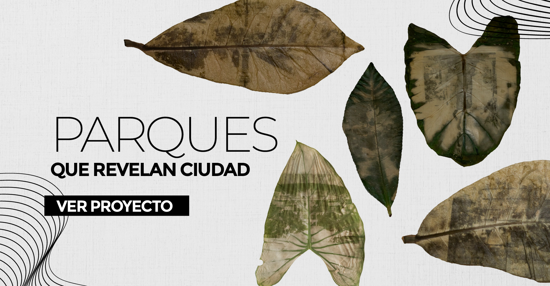 Parques que revelan ciudad es una propuesta transdisciplinar que utiliza la fotografía y producción audiovisual para explorar la historia de Bucaramanga a través de cinco parques construidos a principios del siglo XX.