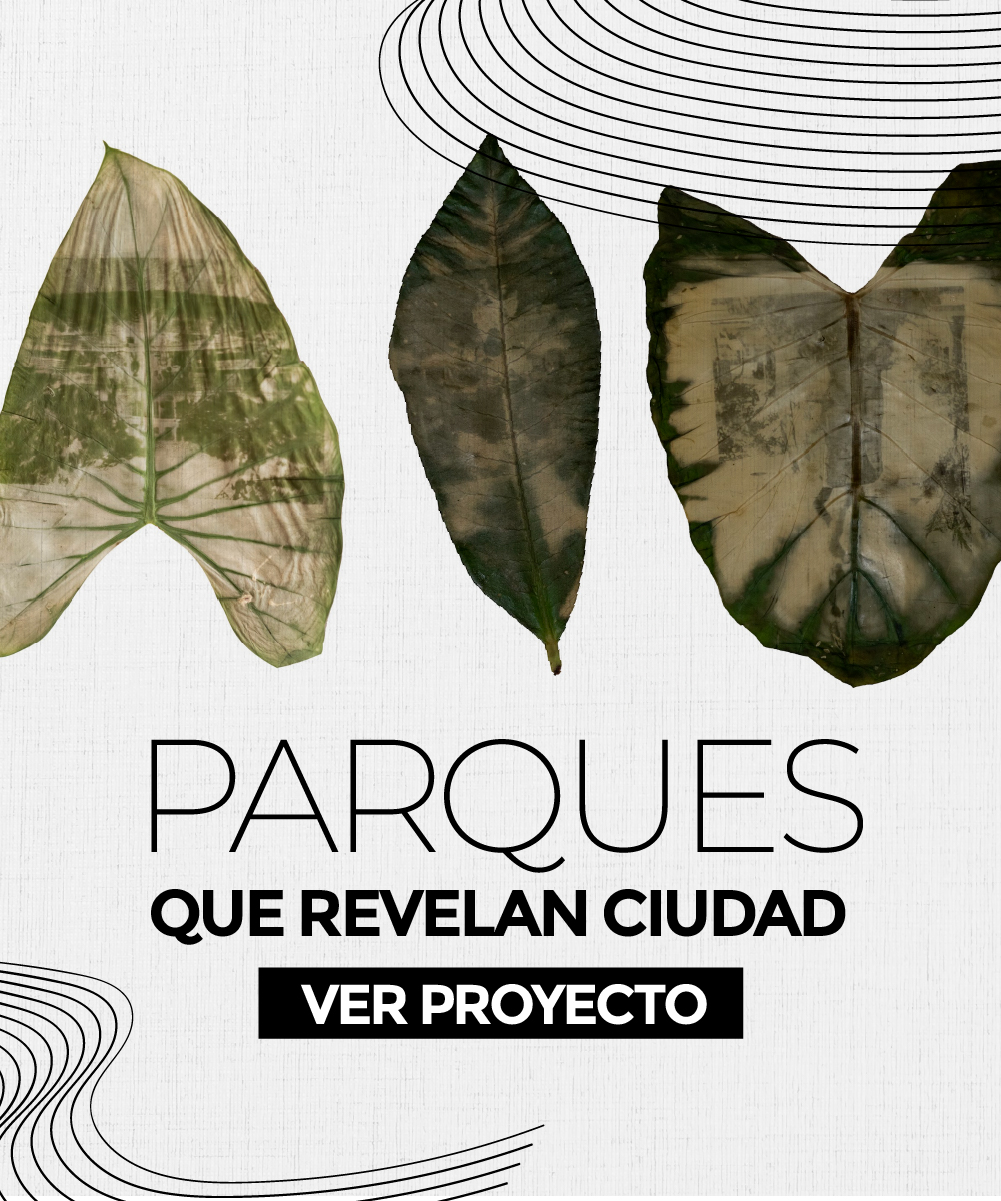 Parques que revelan ciudad es una propuesta transdisciplinar que utiliza la fotografía y producción audiovisual para explorar la historia de Bucaramanga a través de cinco parques construidos a principios del siglo XX.
